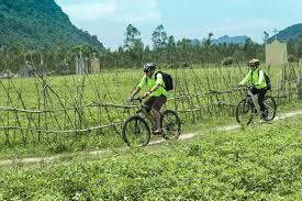 1734665759_phong-nha-bike-boat-tour (3).jpg